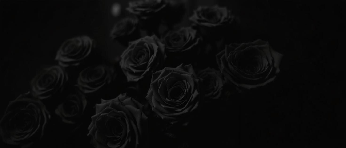 Luminous Noir